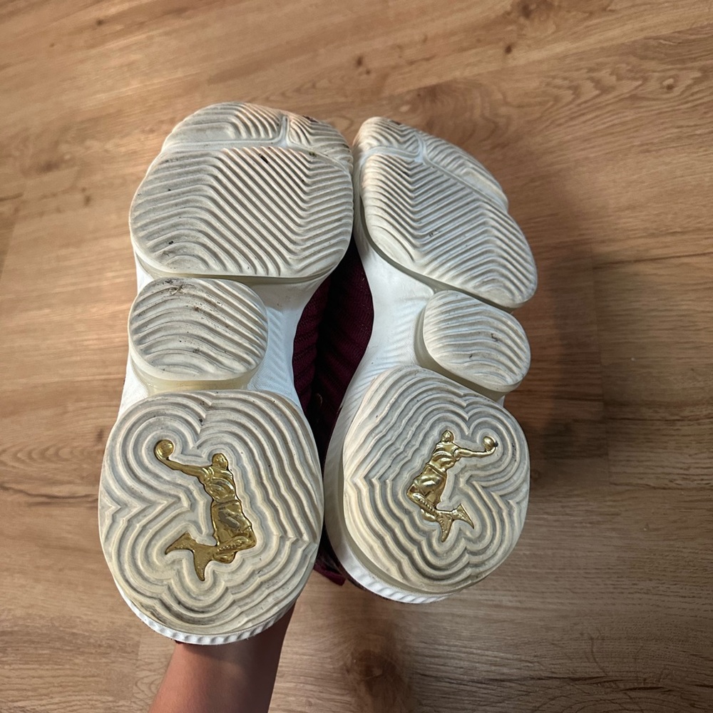 Nike LeBron 16 King shoes - AO2588-601 - Picture 5 of 6